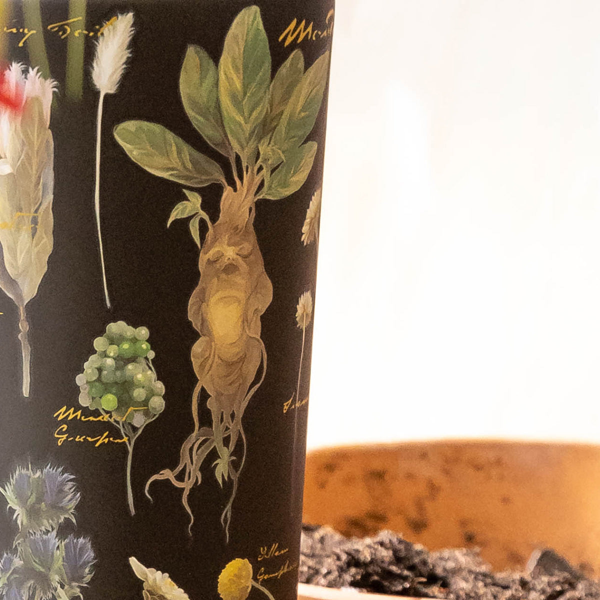 harry-potter-cold-cup-n5 Herbology-3.jpg